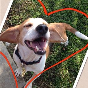 Meet your Posher, Patty